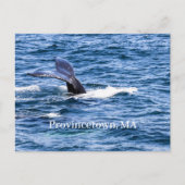 地方郵便はがき ポストカード (正面)