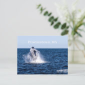 地方郵便はがき ポストカード (スタンド正面)