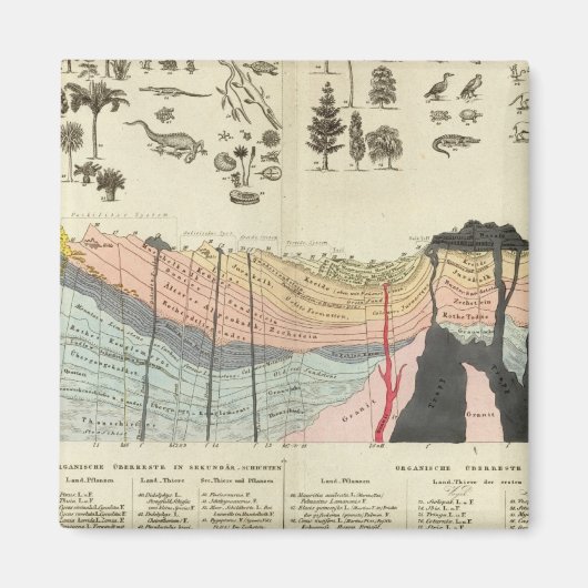 地殻の一部の平均 マグネット (正面)