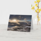 地熱冬景観 カード (黄色い花)