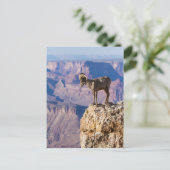 地獄の熟考 ポストカード (スタンド正面)