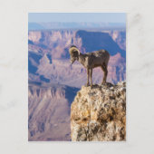 地獄の熟考 ポストカード (正面)