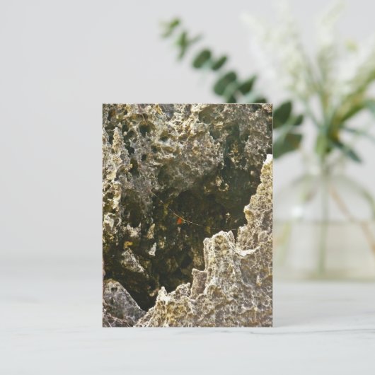 地獄の ポストカード (スタンド正面)