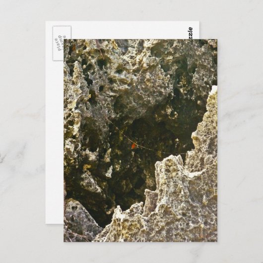 地獄の ポストカード (正面/裏面)