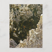 地獄の ポストカード (正面)