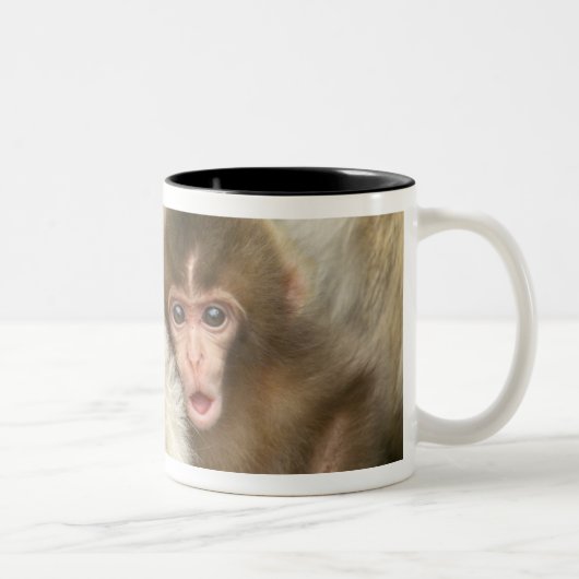地獄谷野猿公苑の赤ちゃん雪見猿 長野県 ツートーンマグカップ (右)