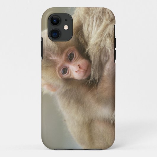 地獄谷野猿公苑の赤ちゃん雪見猿 長野県 Case-Mate iPhoneケース (裏面)