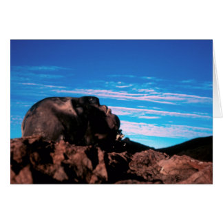 地球か折られたカードから