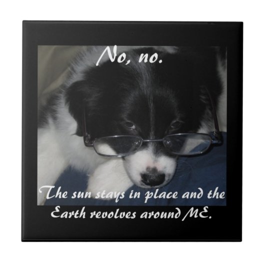 「地球がのまわりに私を回転 タイル (正面)