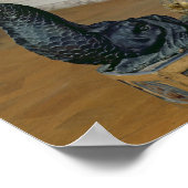 地球と天球 ポスター (角)