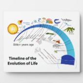 地球における生命の進化タイムライン図 フォトプラーク (正面)
