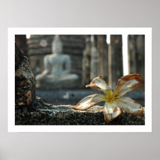 地球に目撃を求める ポスター