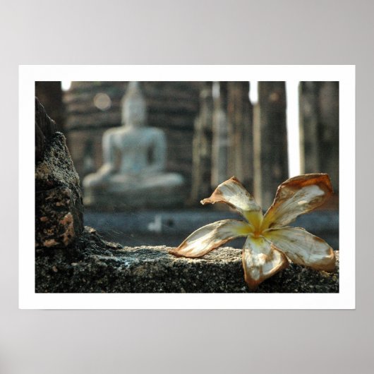 地球に目撃を求める ポスター (正面)