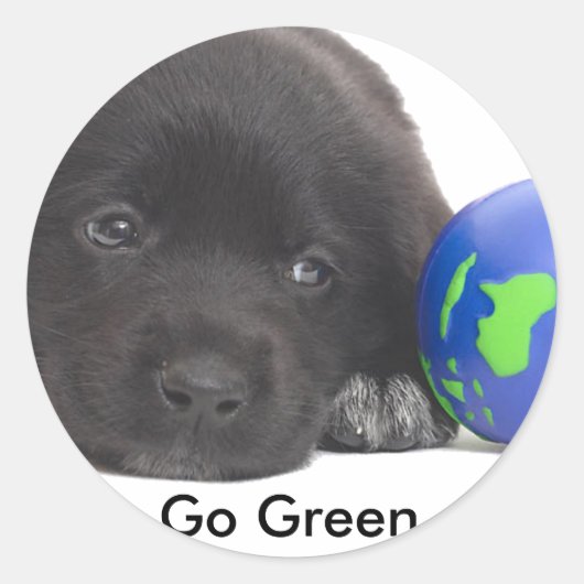 地球のあるニューファンドランドの子犬 ラウンドシール (正面)