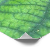 地球のジャガー ポスター (角)