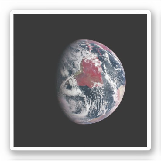 地球の上で植物の成長。 シール (正面)