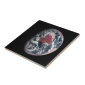 地球の上で植物の成長。 タイル (側面)