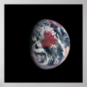 地球の上で植物の成長。 ポスター (正面)