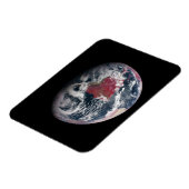 地球の上で植物の成長。 マグネット (左側)