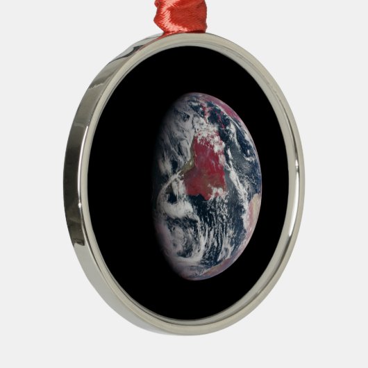 地球の上で植物の成長。 メタルオーナメント (右)