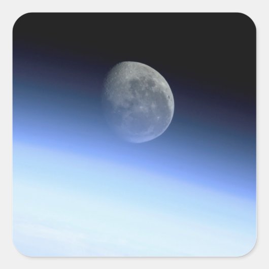 地球の四肢 スクエアシール (正面)