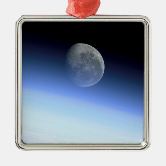 地球の四肢 メタルオーナメント (正面)