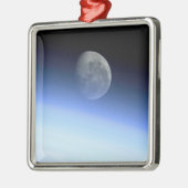 地球の四肢 メタルオーナメント (左)