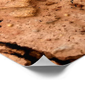 地球の干ばつ床乾燥 ポスター (角)