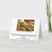 「地球の平和」 シーズンカード (裏面)