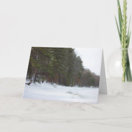 地球の平和 シーズンカード