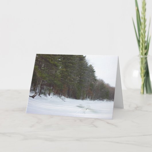 地球の平和 シーズンカード (正面)