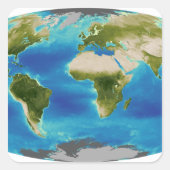 地球の平均植物成長 スクエアシール (正面)