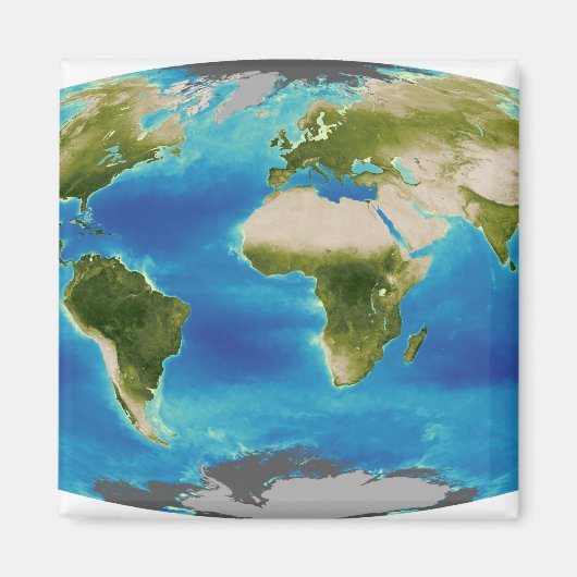 地球の平均植物成長 マグネット (正面)