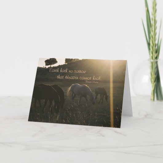 地球の悲しみなし – 共感表 カード (正面)