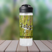 地球の日の一般的なホワイトテールドラゴンフライ写真 ウォーターボトル