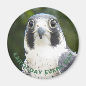 地球の日の毎日ペレグリン《鳥》ハヤブサ写真 マグネット (正面)