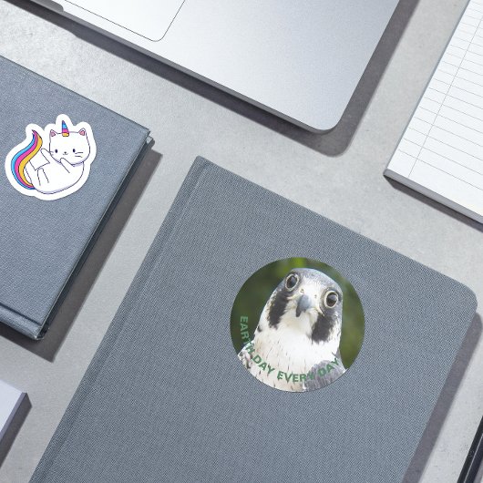 地球の日の毎日ペレグリン《鳥》ハヤブサ写真 ラウンドシール