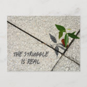 地球の日の闘争は木実在の生産である ポストカード (正面)