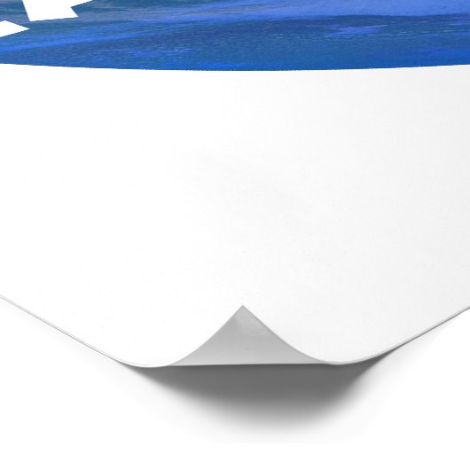 地球の日2009 ポスター (角)