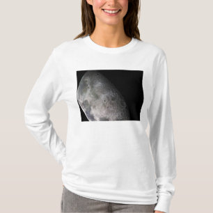 地球の月の色のモザイク Tシャツ