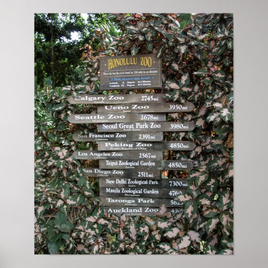 地球の果てにある動物園 – ホノルル ポスター (正面)
