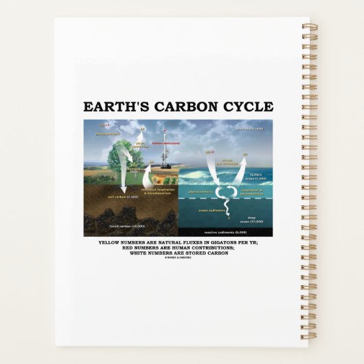 地球の炭素循環地球科学環境学 プランナー手帳 (裏面)
