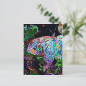 地球の生物！ ポストカード (スタンド正面)