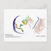 地球の舞踏 ポストカード (正面)