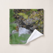 地球の魅惑のタオルセット バスタオルセット (ウォッシュタオル)