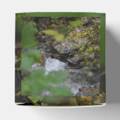 地球の魅惑 フェイバーボックス (上部)