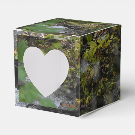 地球の魅惑 フェイバーボックス (正面サイド)