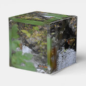 地球の魅惑 フェイバーボックス (裏面サイド)