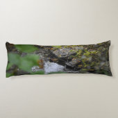 地球の魅惑 ボディピロー (裏面)