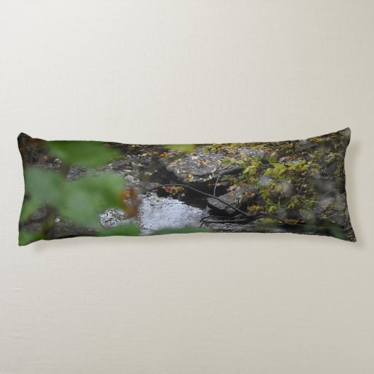 地球の魅惑 ボディピロー (裏面)